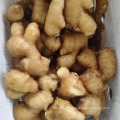Hot Sale 2020 China New Crop Fresh Ginger FRESH GINGER to EXPORT